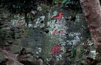 南京方山徒步全攻略!免費登頂俯瞰大學城,打卡千年定林寺塔