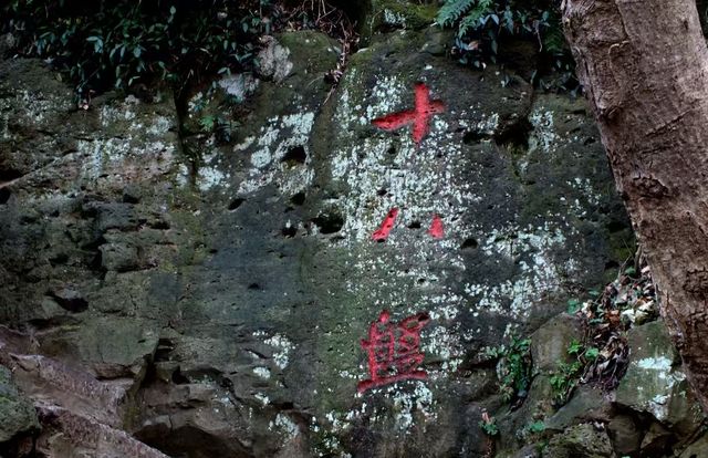 南京方山徒步全攻略!免費登頂俯瞰大學城,打卡千年定林寺塔 南京方山徒步全攻略!免費登頂俯瞰大學城,打卡千年定林寺塔