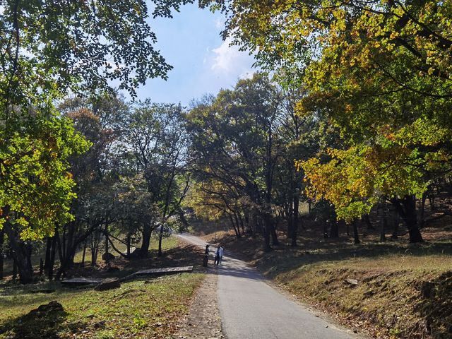 平山路線 平山路線