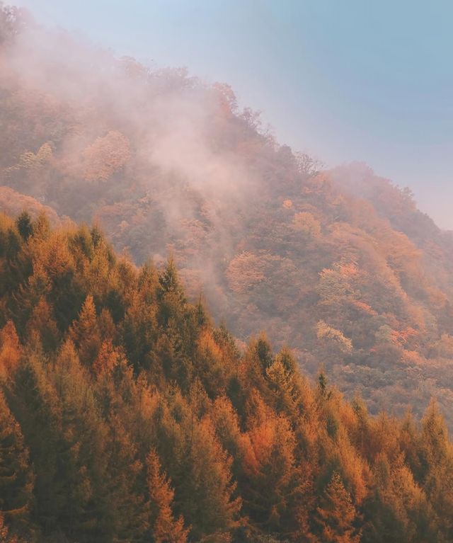 光霧山現狀大揭秘!美到犯規啦附超全攻略 光霧山現狀大揭秘!美到犯規啦附超全攻略