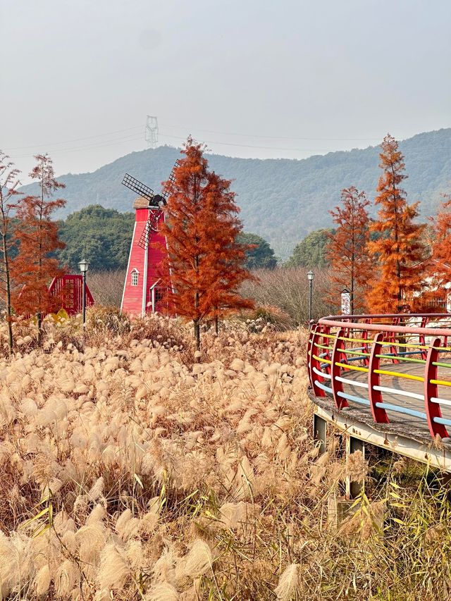 已經開始期待深秋的紹興了！「附地址」