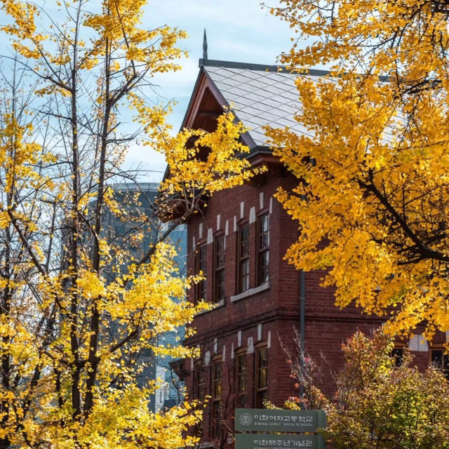🍂 서울 가을, 2만 걸음으로 만나는 황금의 추억