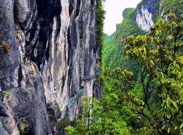 屏山大峽谷 屏山大峽谷