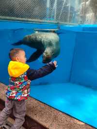 永泰歐樂堡福州版海洋王國