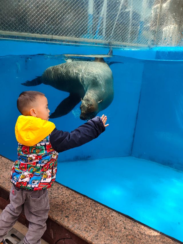 永泰歐樂堡福州版海洋王國 永泰歐樂堡福州版海洋王國