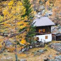 🌫️ 안개 낀 알프스의 숨겨진 보석, 알페 데베로