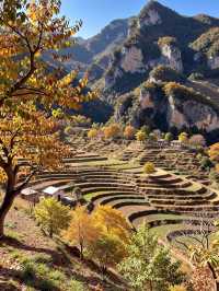 密雲私藏紅葉秘境0元門票拍爆99+讚的秋日大片