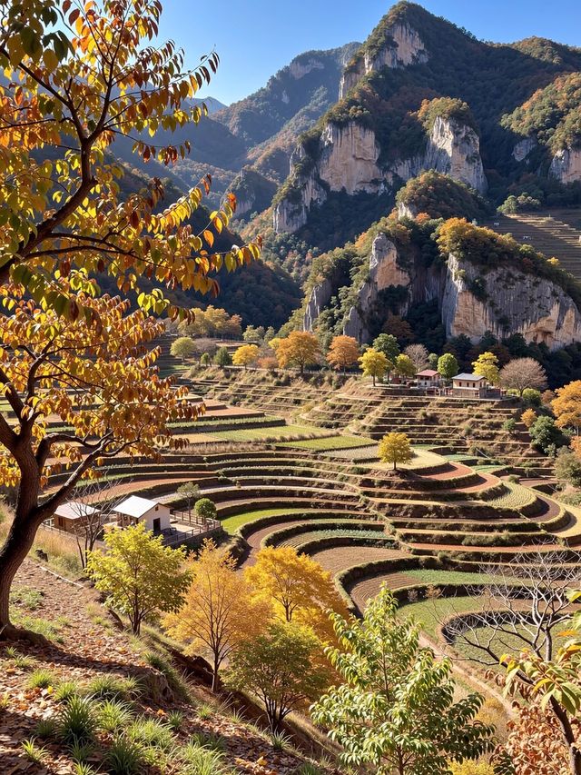 密雲私藏紅葉秘境0元門票拍爆99+讚的秋日大片