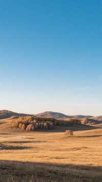 11月的塞罕壩四天三晚,玩轉北國初冬!