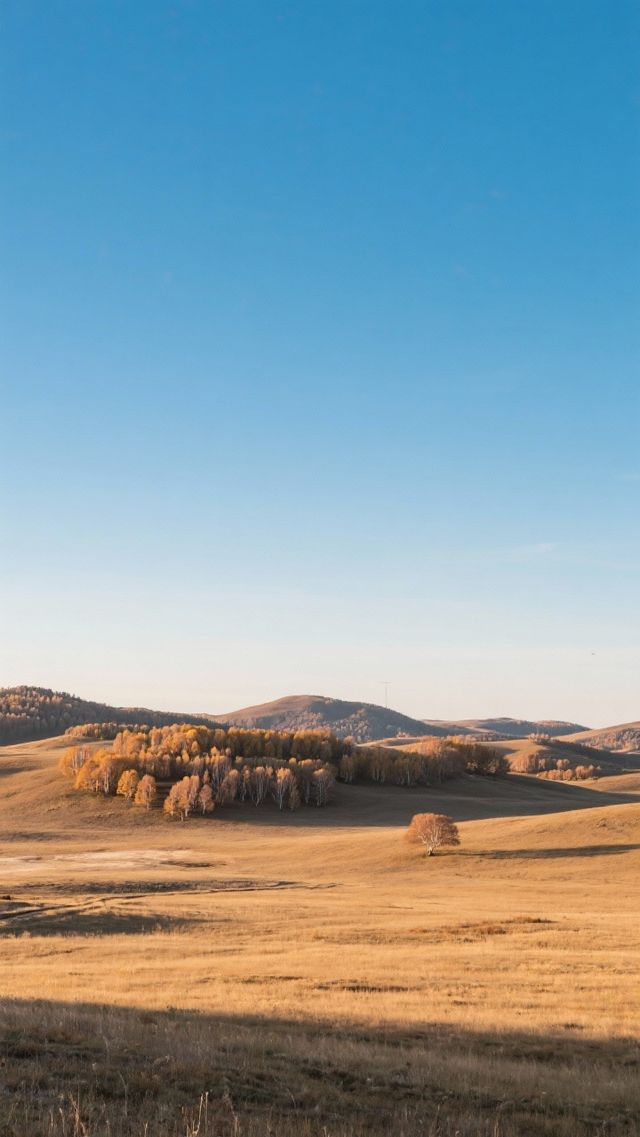 11月的塞罕壩四天三晚,玩轉北國初冬! 11月的塞罕壩四天三晚,玩轉北國初冬!