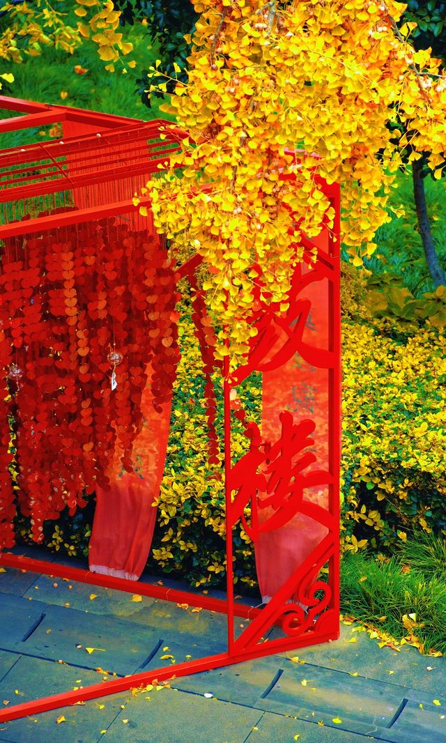 南京必打卡！紅牆銀杏出片神地，比故宮人少好看！