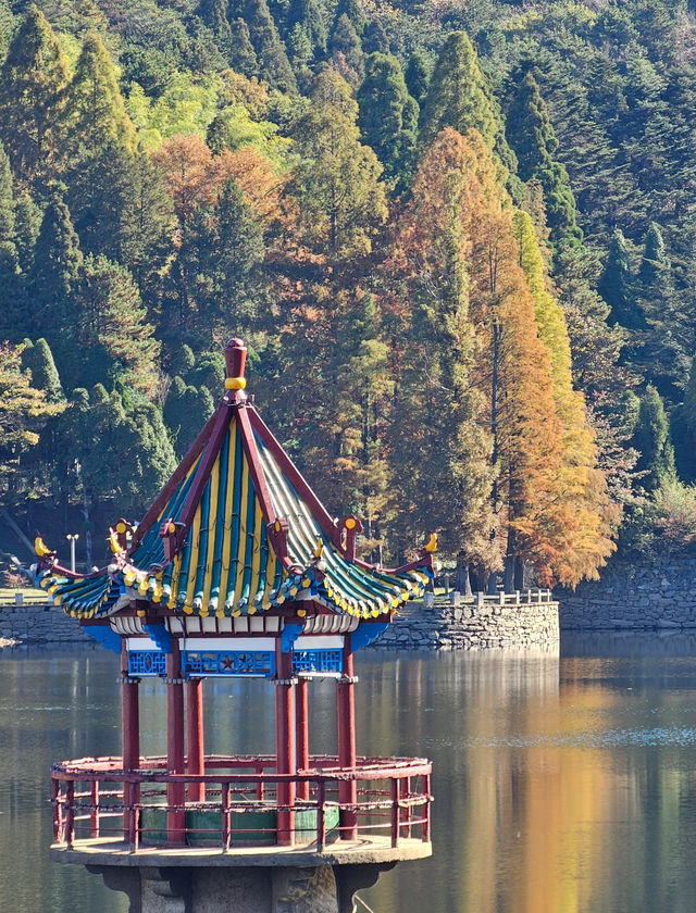 在廬山，抓住了秋天的尾巴