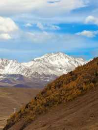 川西秋日封神！每一幀都像闖進油畫裡