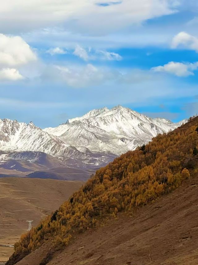 川西秋日封神！每一幀都像闖進油畫裡
