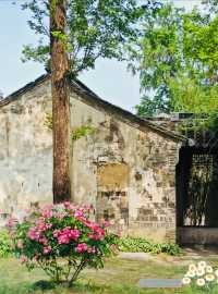 禪意江南必去打卡地