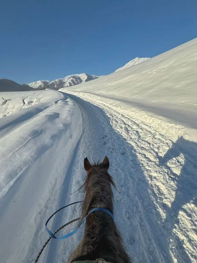 雪落人間，把世界裹成純白童話