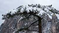 在黃山的水墨仙境裡，5天邂逅「天下第一奇山」的冬雪盛景