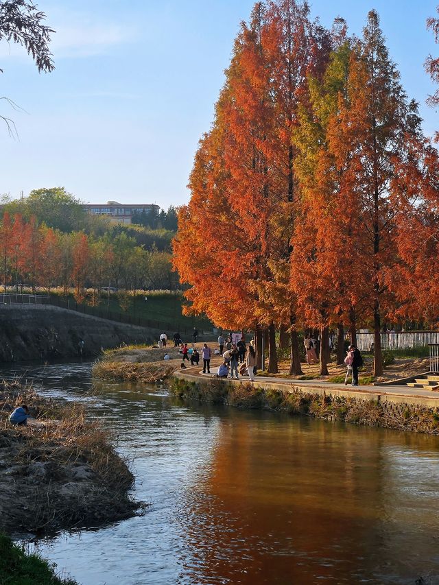 “塞納河”畔曬太陽 “塞納河”畔曬太陽