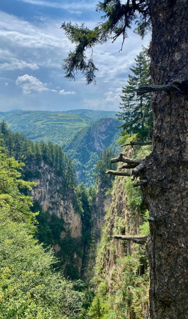 隴中仙境貴清山,我私藏的“小華山”之旅 隴中仙境貴清山,我私藏的“小華山”之旅