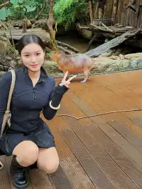 雲南普洱太陽河森林公園