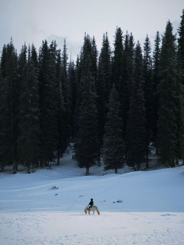 伊犁|冬天的避寒之地 伊犁|冬天的避寒之地