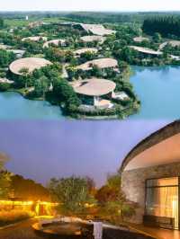 森林秘境中的溫泉天堂金湖這家隱世酒店太絕了！