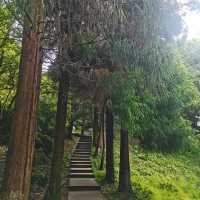 20℃冰鎮夏天!重慶1.5h直達的秘境瀑布,亞洲最大洞中奇觀