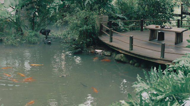 長大以後，終於換我們帶父母看世界了