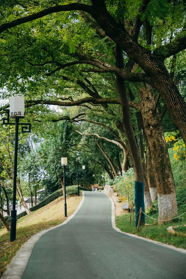 宜昌濱江:在長江岸線,邂逅老工業與深秋的詩意共鳴 宜昌濱江:在長江岸線,邂逅老工業與深秋的詩意共鳴