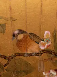 為了欣賞它，值得一去再去