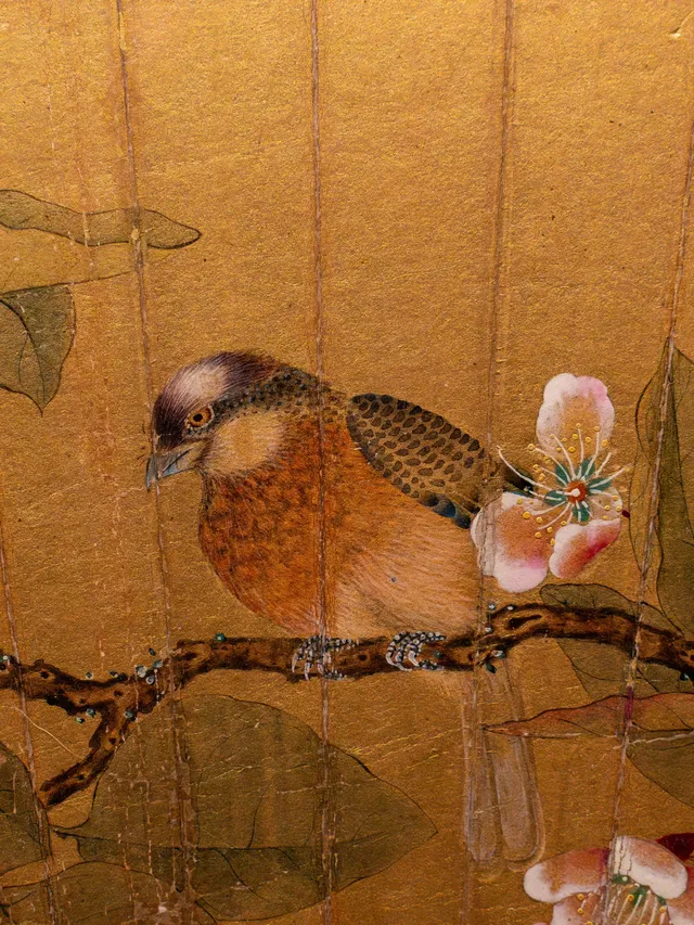 為了欣賞它，值得一去再去