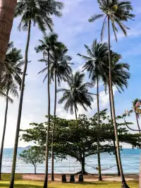 春節別墅趴！蘇梅島海景豪宅，16人狂歡