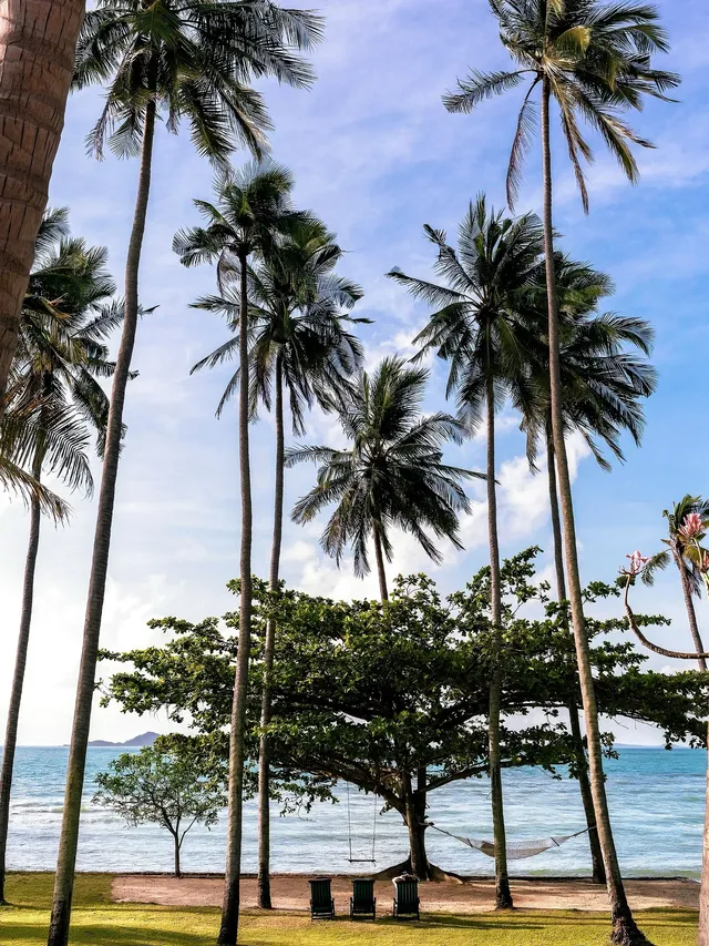 春節別墅趴！蘇梅島海景豪宅，16人狂歡