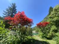 【貴州興義3天深度遊｜3000元爆款旅行攻略，玩轉喀斯特奇觀