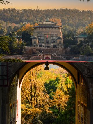 武大の秋｜レトロなアーチの中のイチョウが暖かいトーンの油絵のように美しい〜