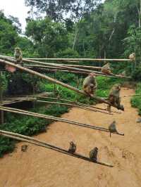 勐瀾大佛寺｜西雙版納的秘境禪意