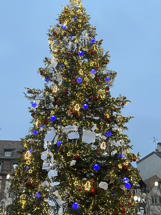 A Magical Christmas Weekend in Colmar & Strasbourg 🎄✨ A Magical Christmas Weekend in Colmar & Strasbourg 🎄✨