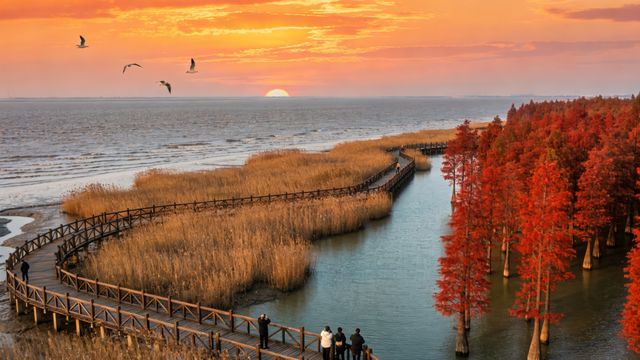 上海西沙濕地一日遊超全行程表 上海西沙濕地一日遊超全行程表