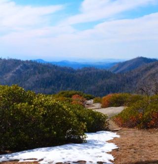 สวนสัตว์เรดวูด: คืนเปิดงานเทศกาลไฟ