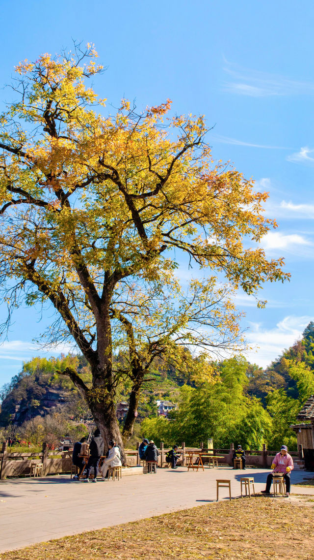 齊雲山私藏!避開人潮的秋日小眾秘境 齊雲山私藏!避開人潮的秋日小眾秘境