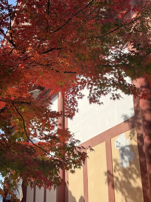 美得不像在莆田!朋友圈都在問的超絕秋景 美得不像在莆田!朋友圈都在問的超絕秋景