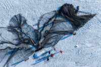 辜負故園梅樹好 南枝開放北枝寒