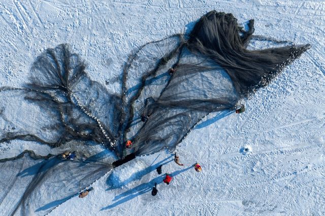 辜負故園梅樹好 南枝開放北枝寒 辜負故園梅樹好 南枝開放北枝寒