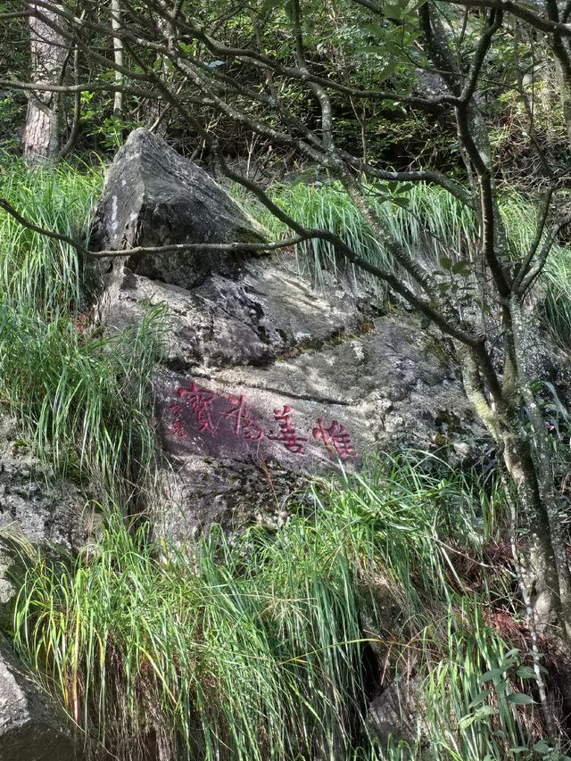 竹林寺∽廬山“空中佛國”！