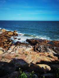 第一次趕海就上癮!南澳寶藏趕海攻略來啦