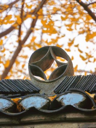 合肥1h直達！三河古鎮的秋，藏著淮畔水鄉的詩意溫柔