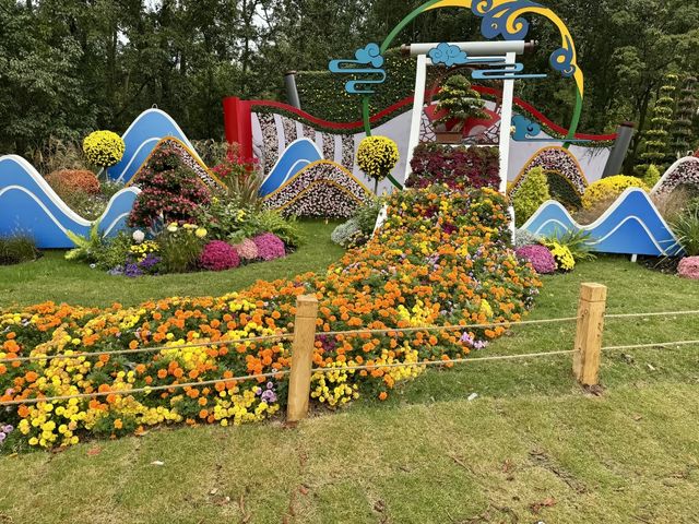 共青賞秋絕佳地 共青賞秋絕佳地