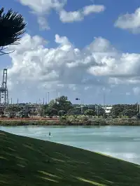 奧克蘭季節限定紫色藍花楹