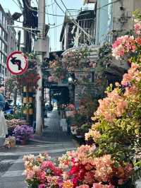 廈門citywalk攻略｜冬日裡的台式小清新浪漫