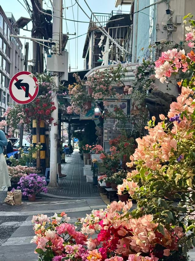 廈門citywalk攻略｜冬日裡的台式小清新浪漫